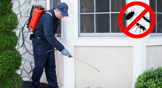 Devrekani Kene İlaçlama böcek ilaçlama ve haşere kontrolü — ilaclama-tr.com